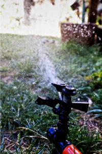sprinkler system fine-tuning done by our Davie irrigation repair team